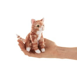 Mini Orange Tabby Cat
