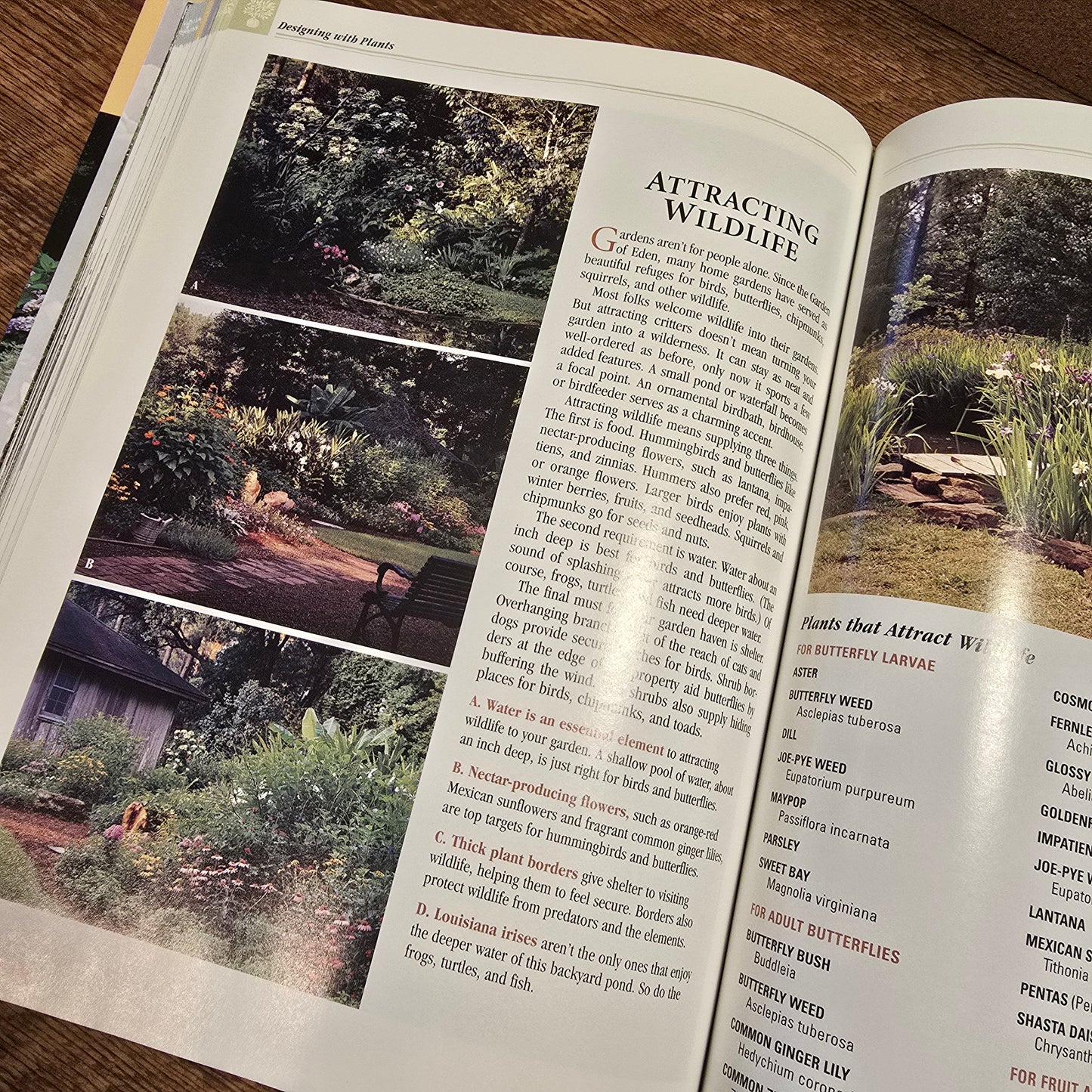 Southern Living Landscape Book