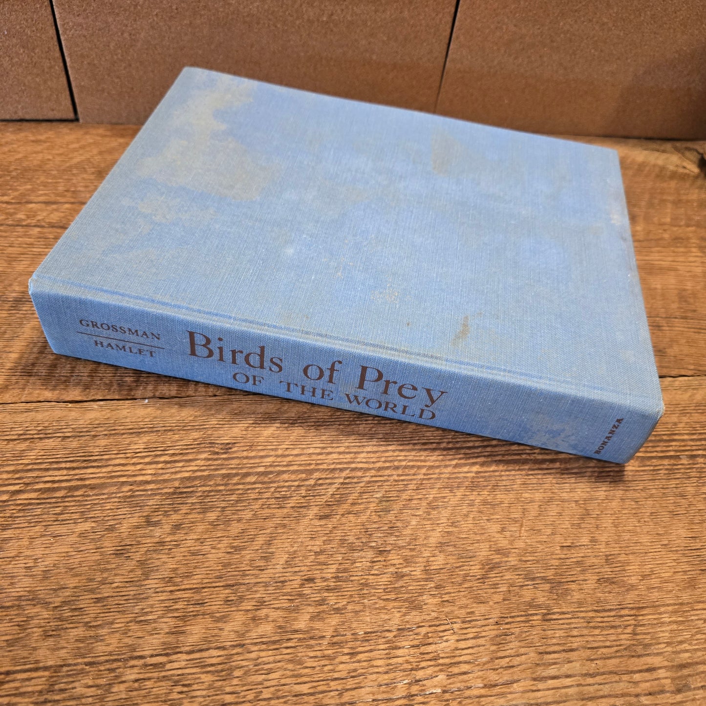Birds of Prey of the World