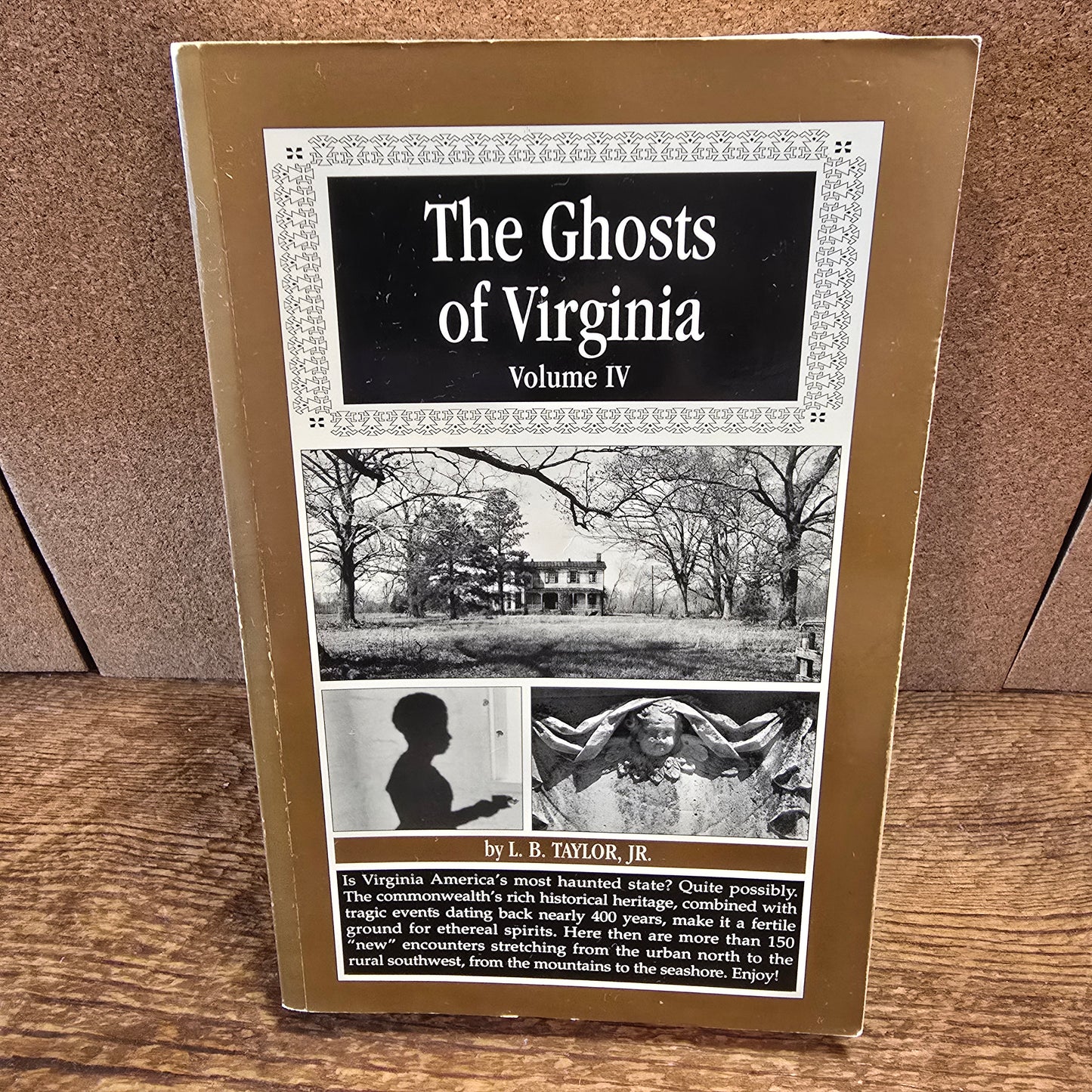 The Ghosts of Virginia Vol IV