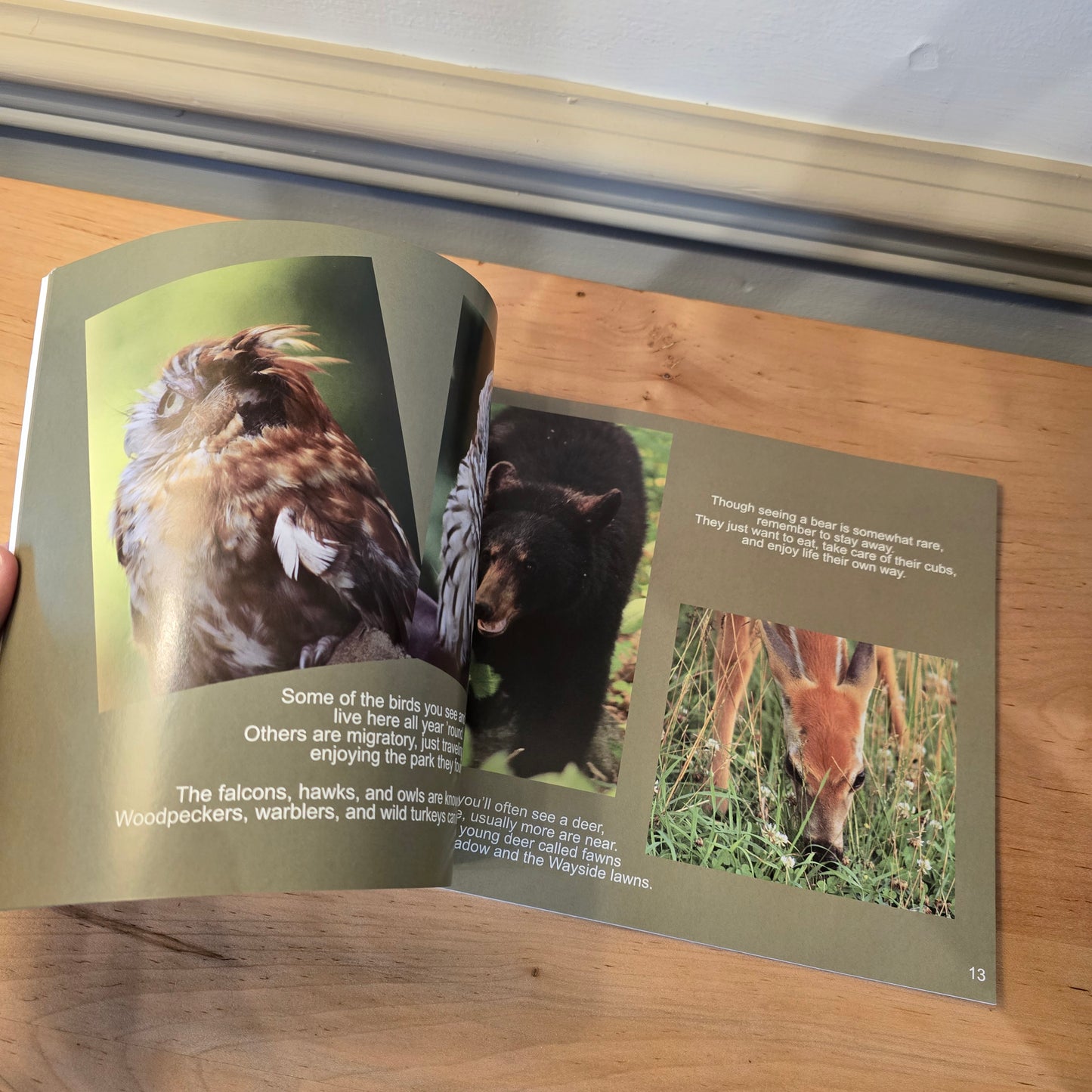 Big Meadows book