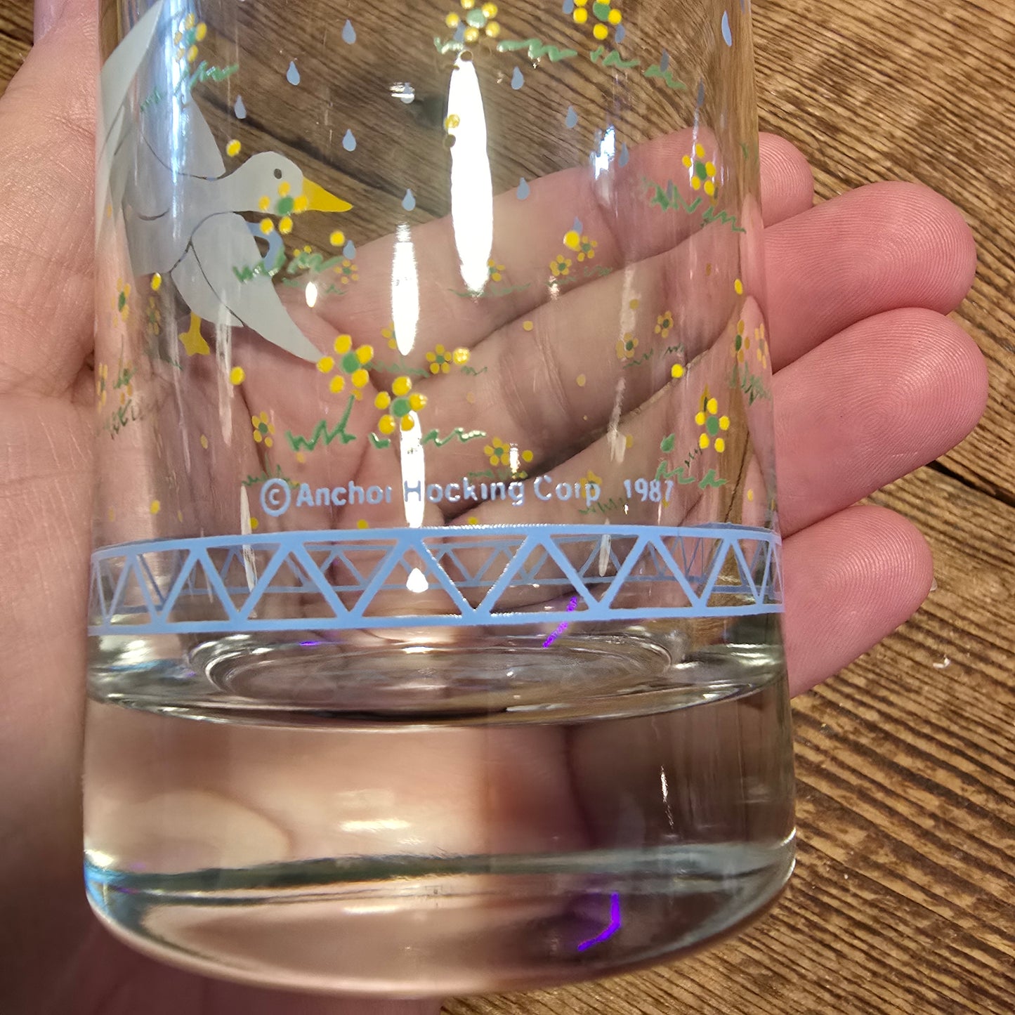 Blue Ribbon Goose Glasses
