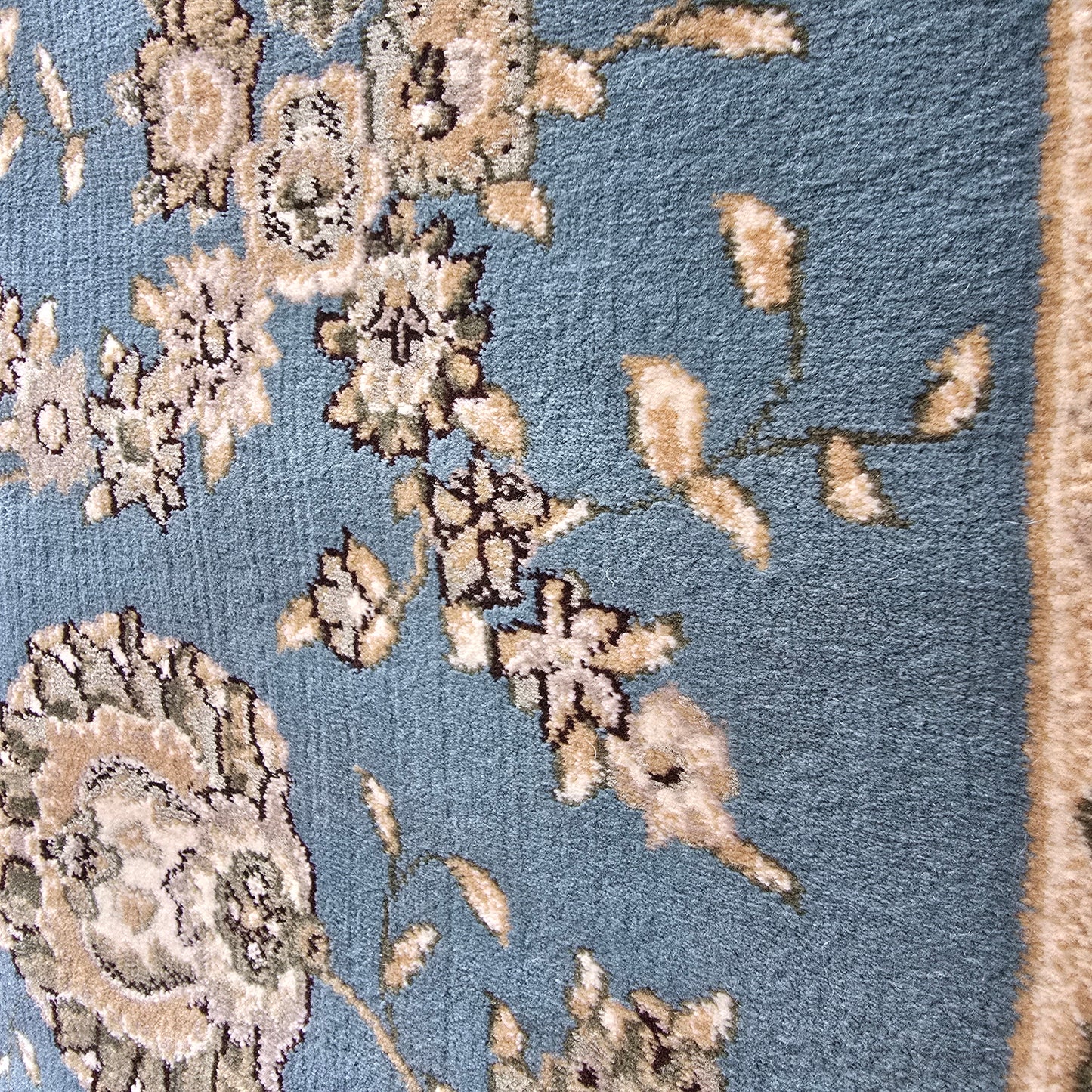 Blue Area Rug