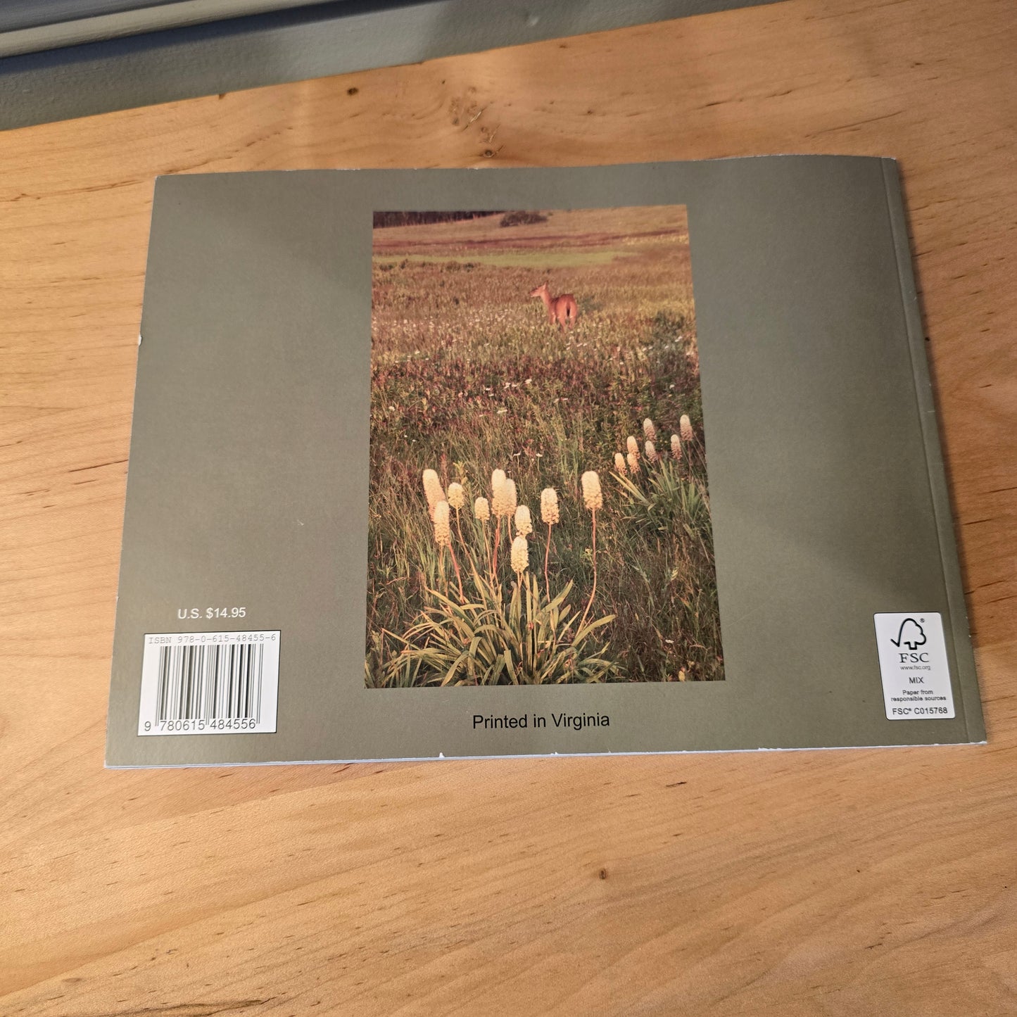 Big Meadows book