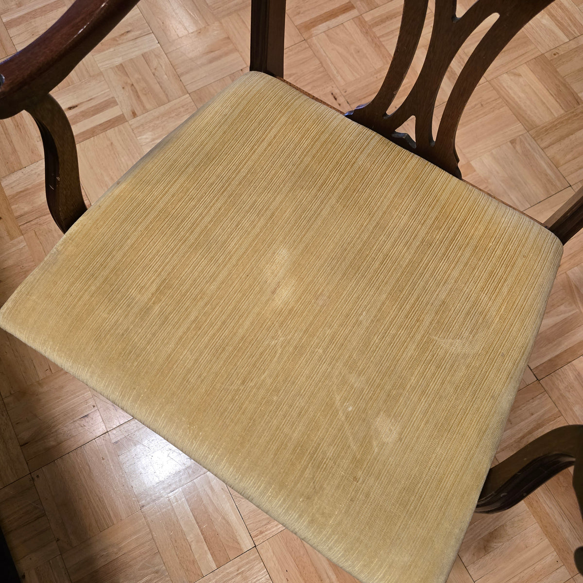 Chippendale Armchair