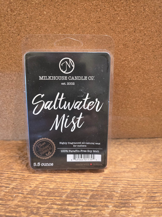 Saltwater Mist Wax Melt