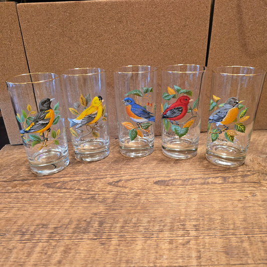 Songbird Glasses