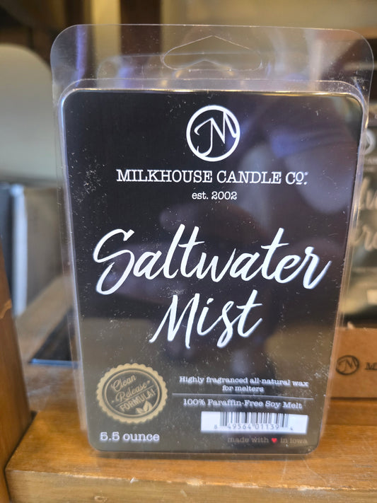 Saltwater Mist Wax Melt