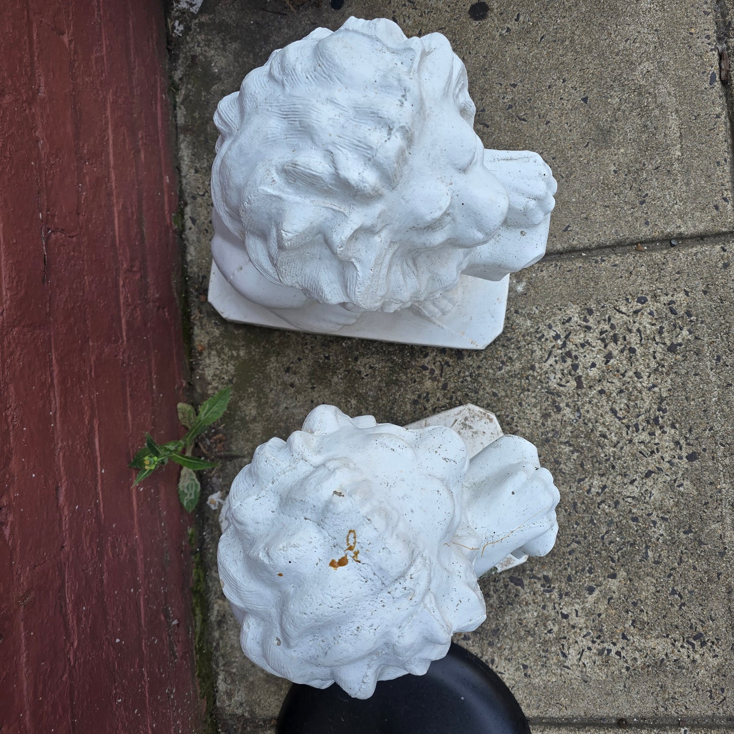 Concrete Garden Lions